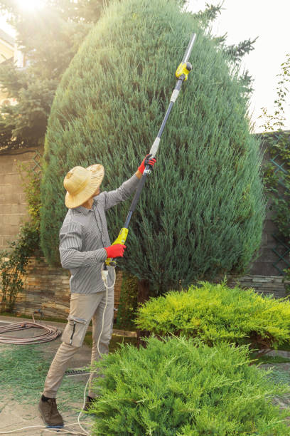 Lawn Pest Prevention in Sanborn, IA